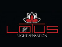 Lotus night sensation